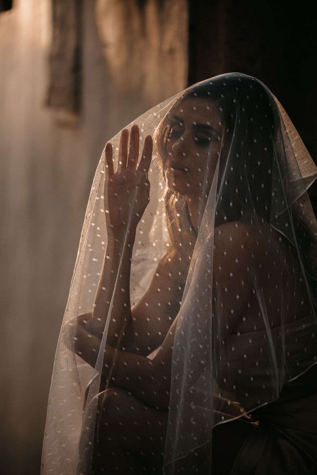 Dotty dotted spotty spotted polka dot wedding veil (9) Dotty dotted spotty spotted polka dot wedding veil