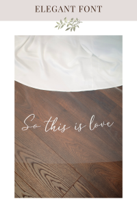 Elegant font - veil embroidery